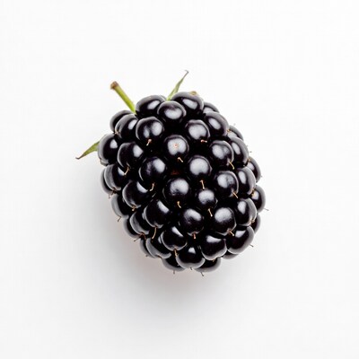 Blackberry on white background