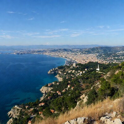 Coastal city view from hillside