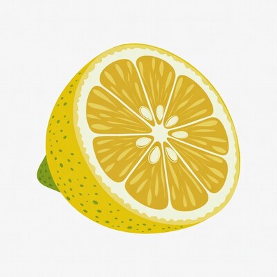 Lemon slice illustration