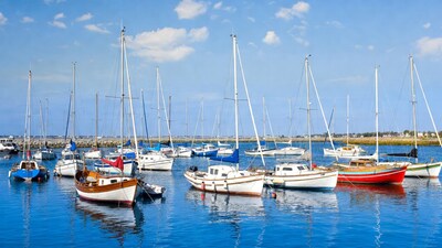 Sailboats docked in calm harbor