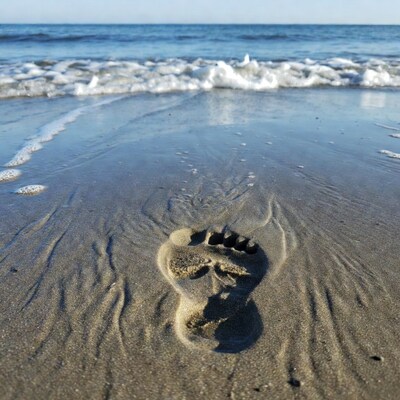Footprint in wet sand