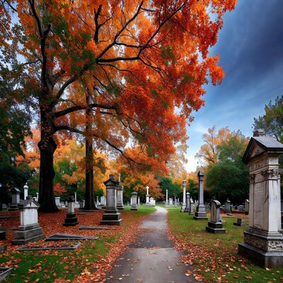 Autumn Cemetery Path with Orange Trees
