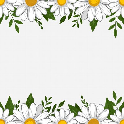 Daisy Flower Border Illustration