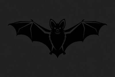 Black bat silhouette