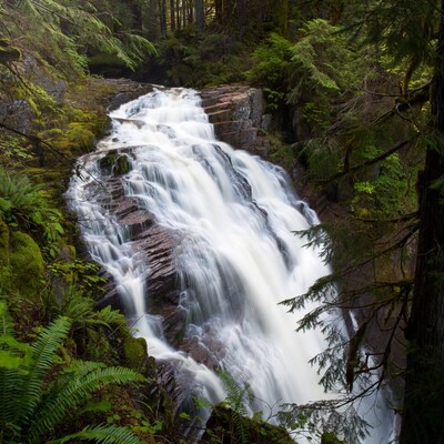 Waterfall in Lush Forest