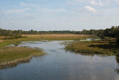 Marshland with calm water and trees