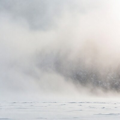 Snowy landscape in fog