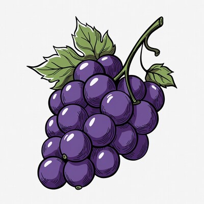 Bunch of purple grapes