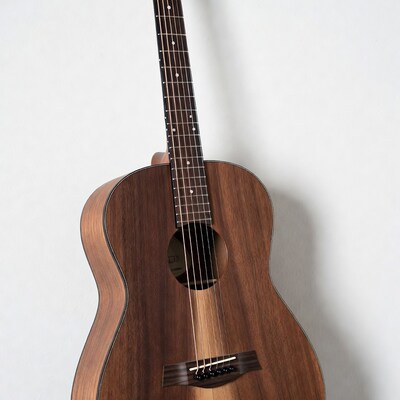 Acoustic guitar on white background