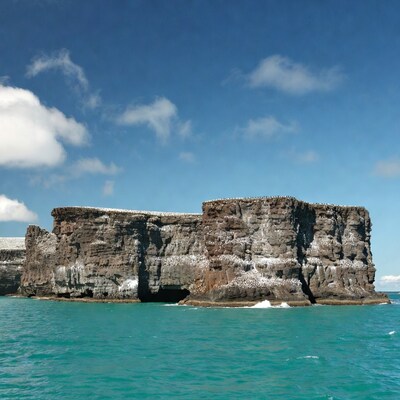 Rocky cliff with birds