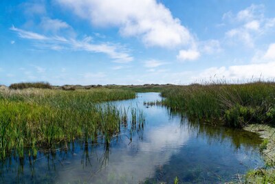 Marshland stream under blue sky