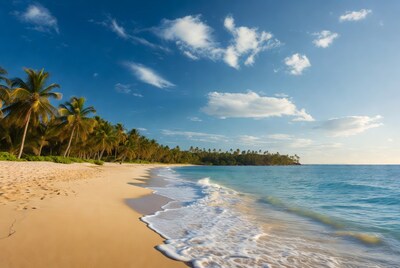 Tropical beach with palm trees