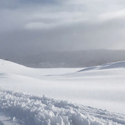 Snowy landscape with hills and forest