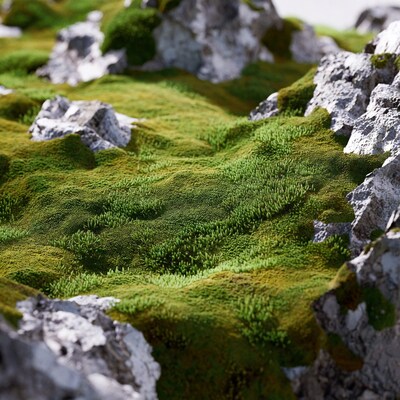 Green moss on rocky terrain