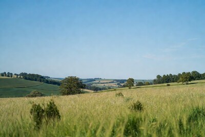 Rolling green hills landscape