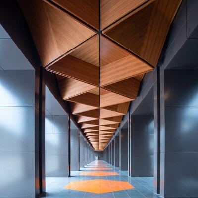 Modern hallway with wooden ceiling