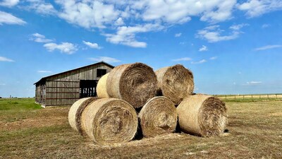Hay bales near wooden barn