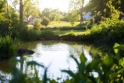 Pond with ripples in garden