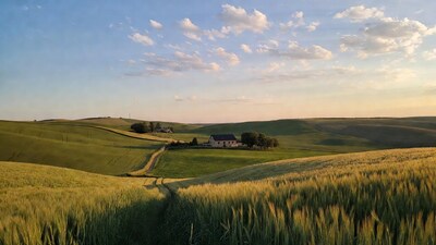 Farmhouse in rolling green hills