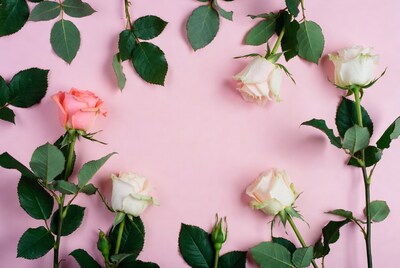 Pink and white roses on pink background