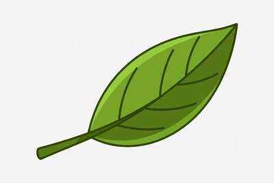 Green leaf illustration