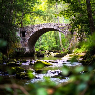 Stone bridge over forest stream