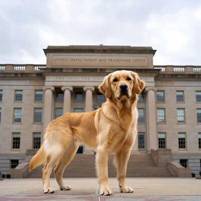 Golden retriever at patent office