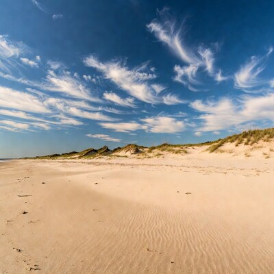Sandy beach with dunes and blue sky