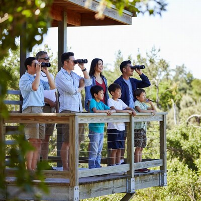 Family using binoculars on wooden deck