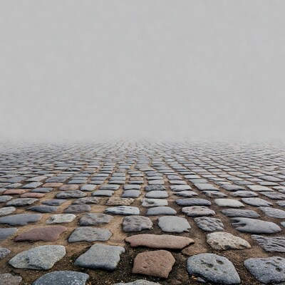 Cobblestone path in fog