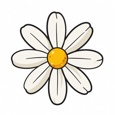 White daisy flower illustration