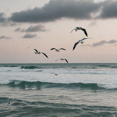 Seagulls flying over ocean waves