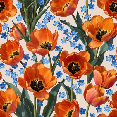 Orange tulips with blue flowers
