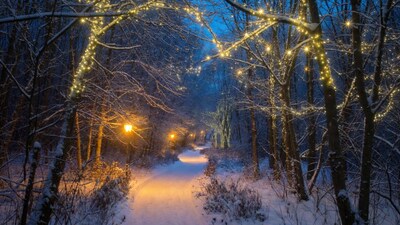 Snowy path with glowing lights