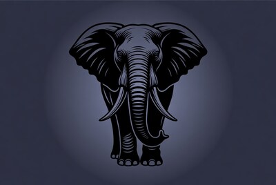 Elephant head illustration