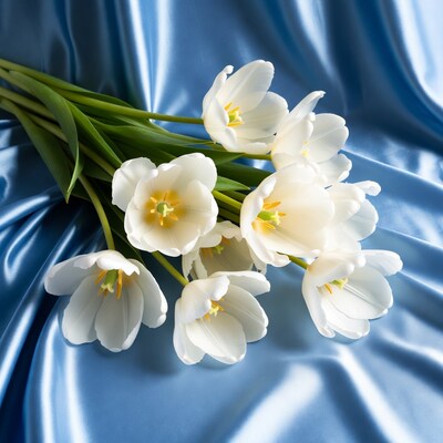 White tulips on blue fabric