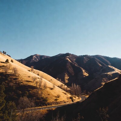 Winding road through golden hills