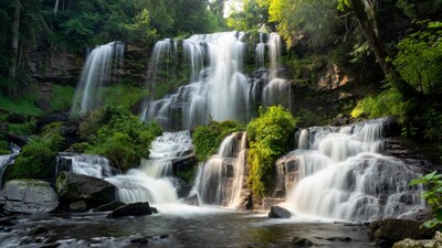 Multi-tiered Forest Waterfall