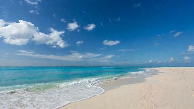Tropical Beach Paradise