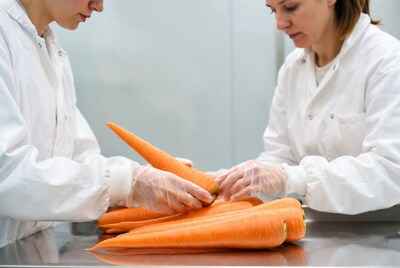Women Inspecting Carrots in Lab