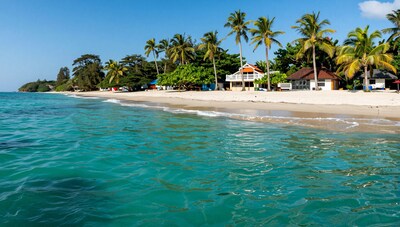 Tropical Beach with Palm Trees