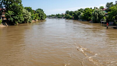 Muddy River Landscape