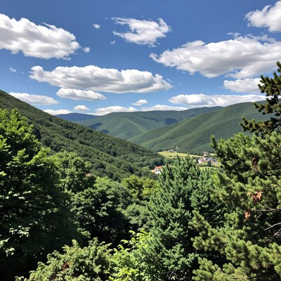 Lush Green Mountain Valley