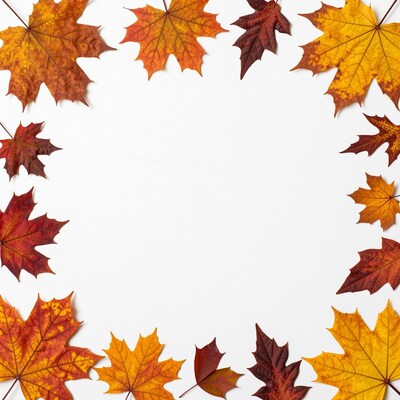 Autumn Maple Leaves Frame