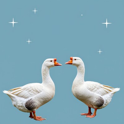 Two White Geese Facing