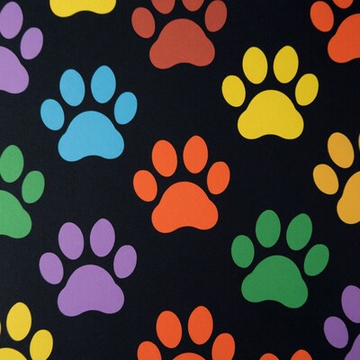 Colorful Paw Prints Pattern