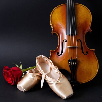 Violin Ballet Shoes Rose