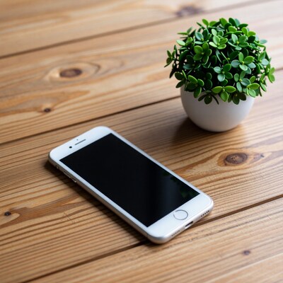 Smartphone and Potted Plant