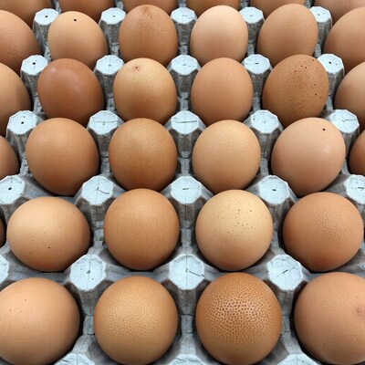Brown Eggs in Carton