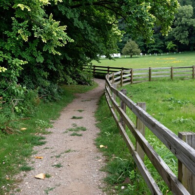 Wooded Country Path with Fence